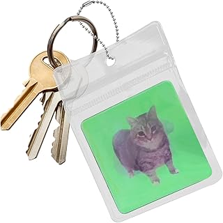 レンチキュラーカードフィジェットおもちゃ、3Dレンチキュラーカード | 3Dレンチキュラーカードキャットパターンフィデットペンダント - 大人、男の子、女の子のための複数の表現バックパック飾り