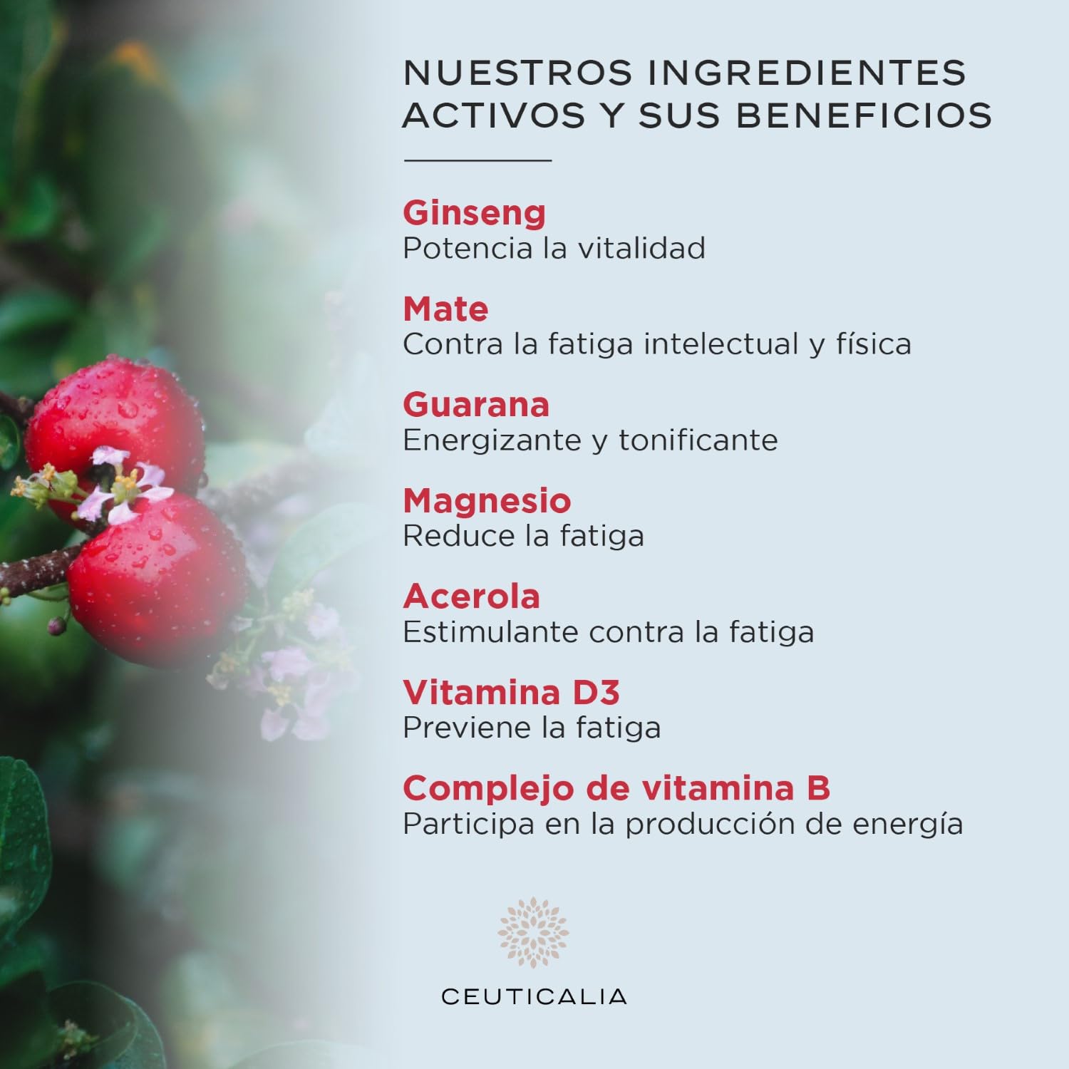 Complemento Alimenticio Energía y Vitalidad - Anti Cansancio y Agotamiento - Para Mujer y Hombre - Ginseng, Guaraná, Yerba Mate, Acerola, Magnesio, Vitaminas D y B - 180 Cápsulas, 90 Días