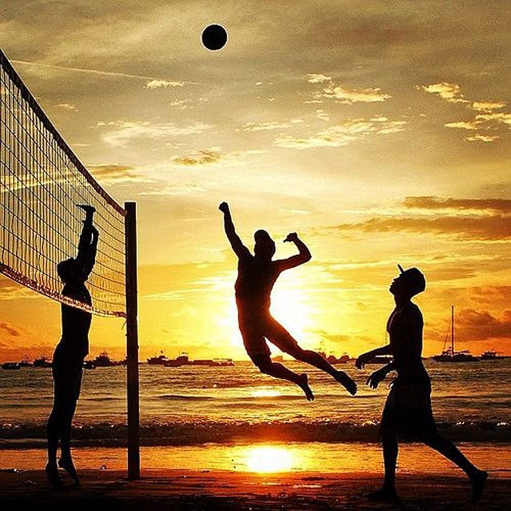 Filet de Volley-Ball Standard 9,5 m x 1 m Filet de Rechange pour Volley-Ball Portable et Pliable Filet d'entraînement Durable pour Piscine, Plage, Jardin, Cour