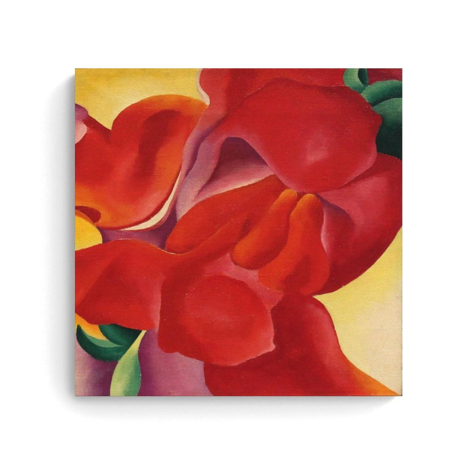 Red Cannas（ジョージア オキーフ）アートポスター Red Cannas（ジョージア オキーフ）アートポスター Amazon.co.jp