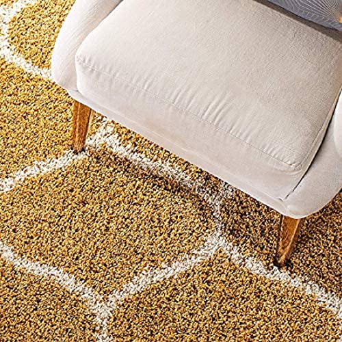 Image of Shaggy Carpet for Living Room 10X14 FEET Fluffy Plush Area Rug, Thick Fur Floor Carpet Modern Cozy Rug for Home Decor, Kids Room Bedside Hall, Durable Comfortable Shaggy Rug (Gold)