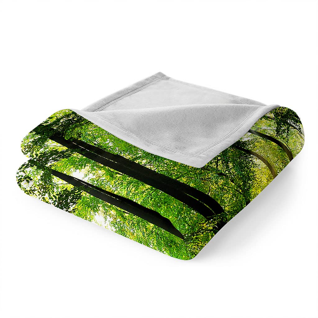 Manta De Franela De Microfibra 180X220Cm Manta De Felpa Suave para Sofá Cama 3D Bosques Verdes Soleados Impresión Patrón Manta Polar Invierno Gruesa Y Esponjosa Caliente Transpirable