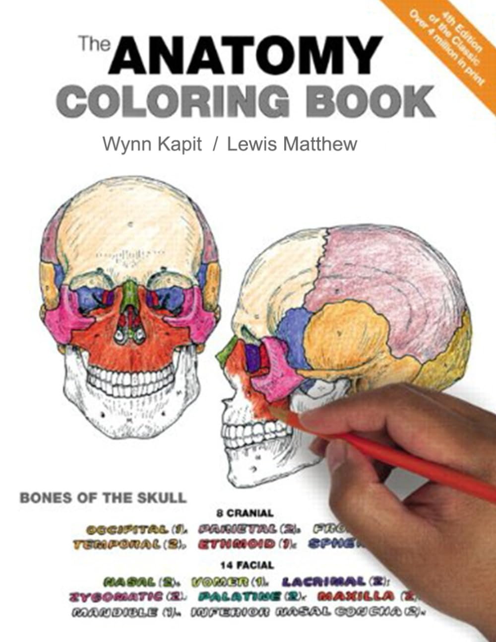 Anatomy Book 4th Edition