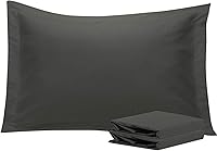 Vista 47 de NTBAY Fundas de almohada estándar, paquete de 2 fundas de almohada de microfibra cepillada de 20 x 26 pulgadas, súper suaves y acogedoras