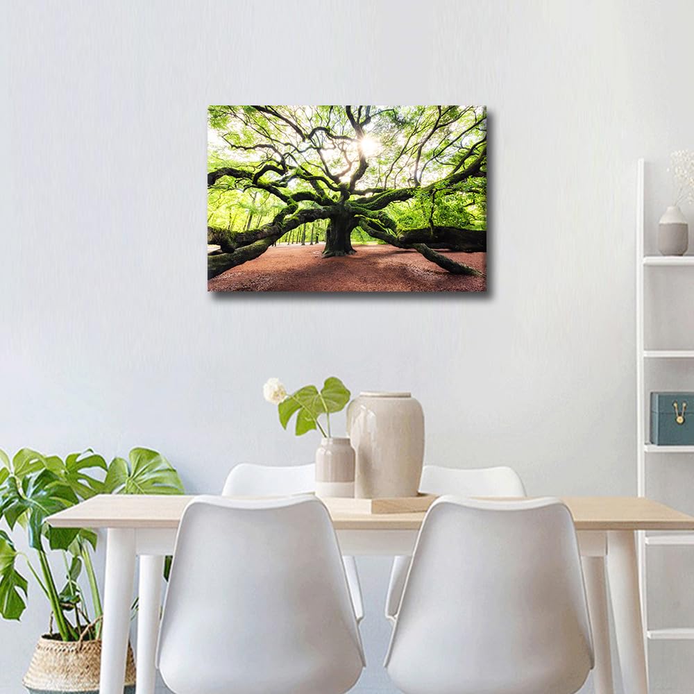Angel Oak Tree Large Canvas Wall Art - Image 2