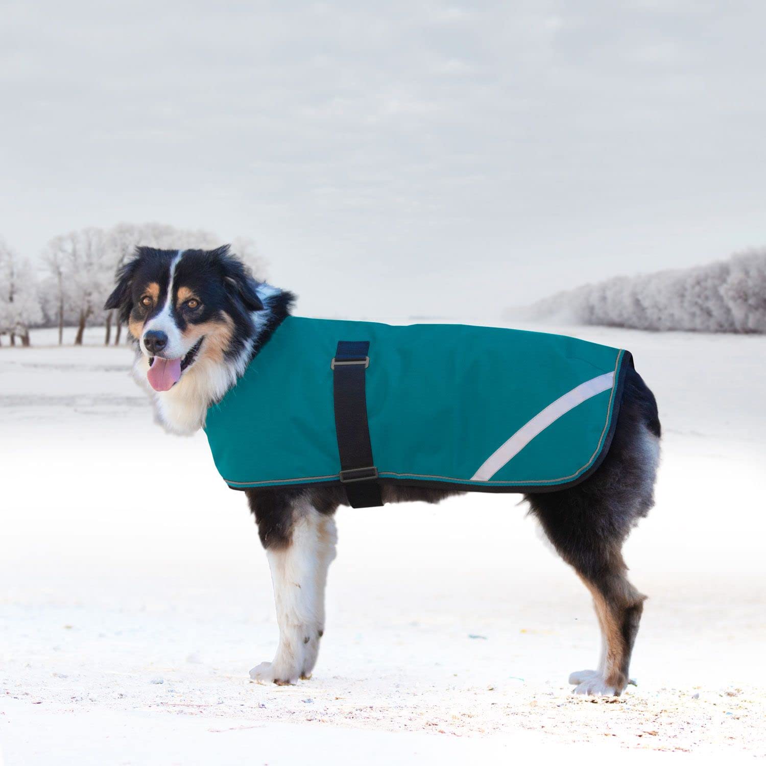 Kensington - Abrigo impermeable para clima frío para perro, chaqueta cálida para ropa de perro, traje de nieve, puerto, talla S