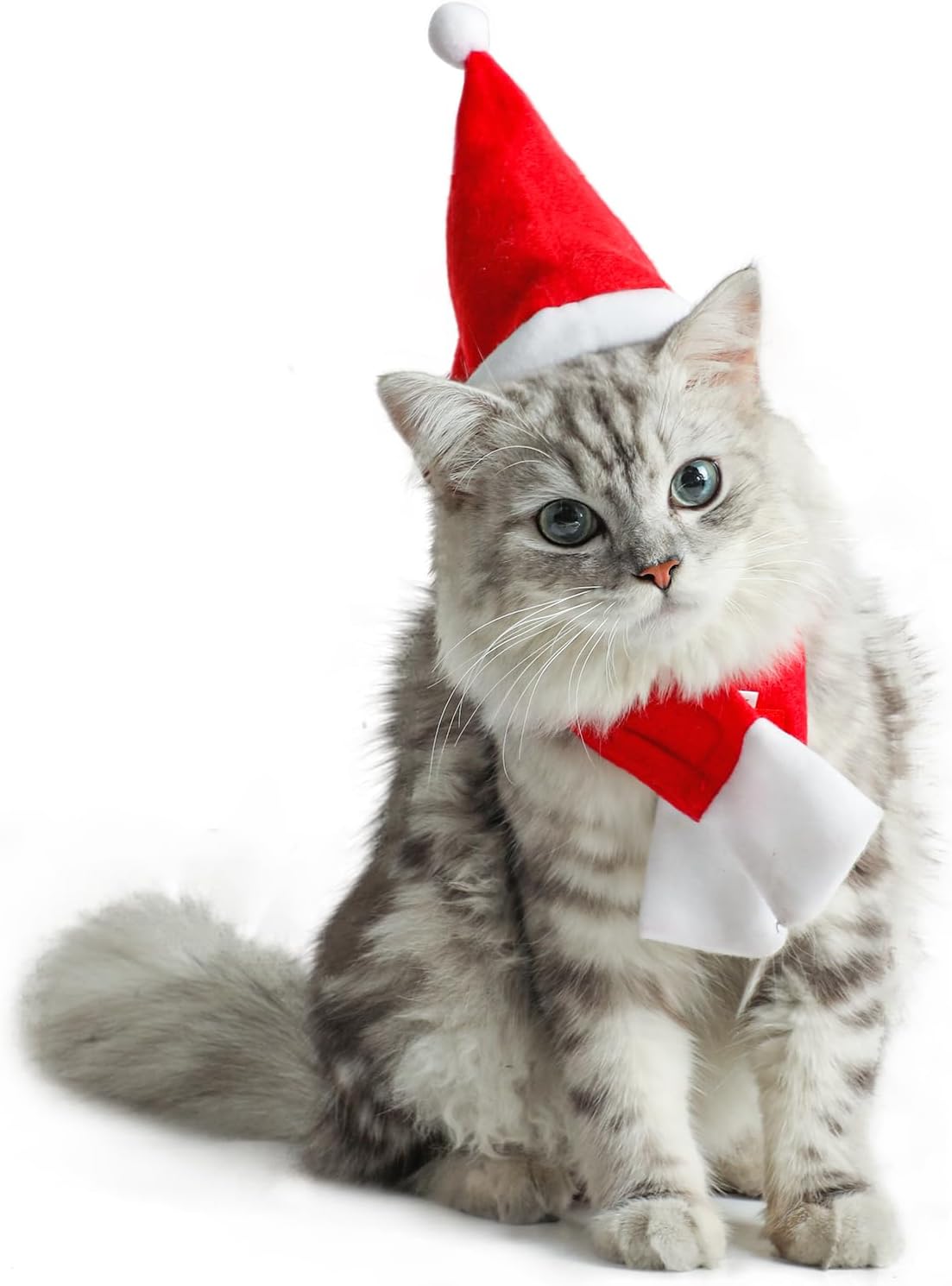 DIYASY Christmas Cat Santa Hat and Scarf，xmas Cat Hats with Scarf -Christmas Costume Set Puppy Kitten Cosplay Adjustable Costume Accessories for Small Pet Cat Dog