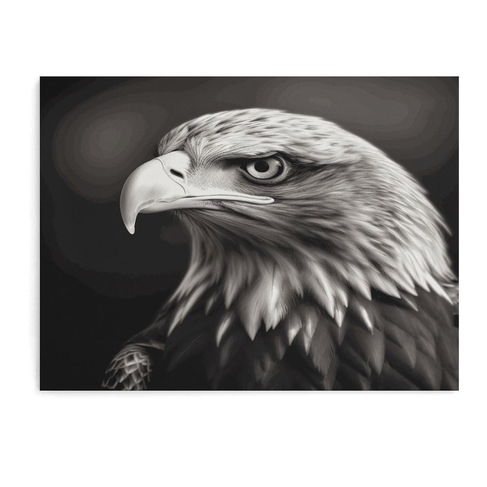 Fodpand Unframe-Style Eagle Black And White Bathroom Wall Art Canvas Prints, Artwork For Walls For Living Room Hallway Stair Office Wall Decor, Pictures Home Decor 15.7X11.8 Inch