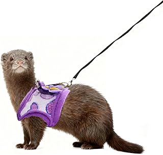 Ferret Harness and Leash Set, Adjustable Vest Harness for Ferrets, Cute Small Animal Harness for Guinea Pig, Squirrel, Rat, Safe Walking Accessories for Outdoor