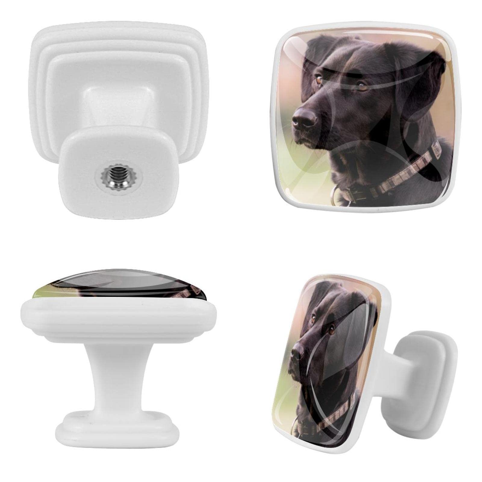 Poignées d'armoires de cuisine au design de bel animal chien noir
