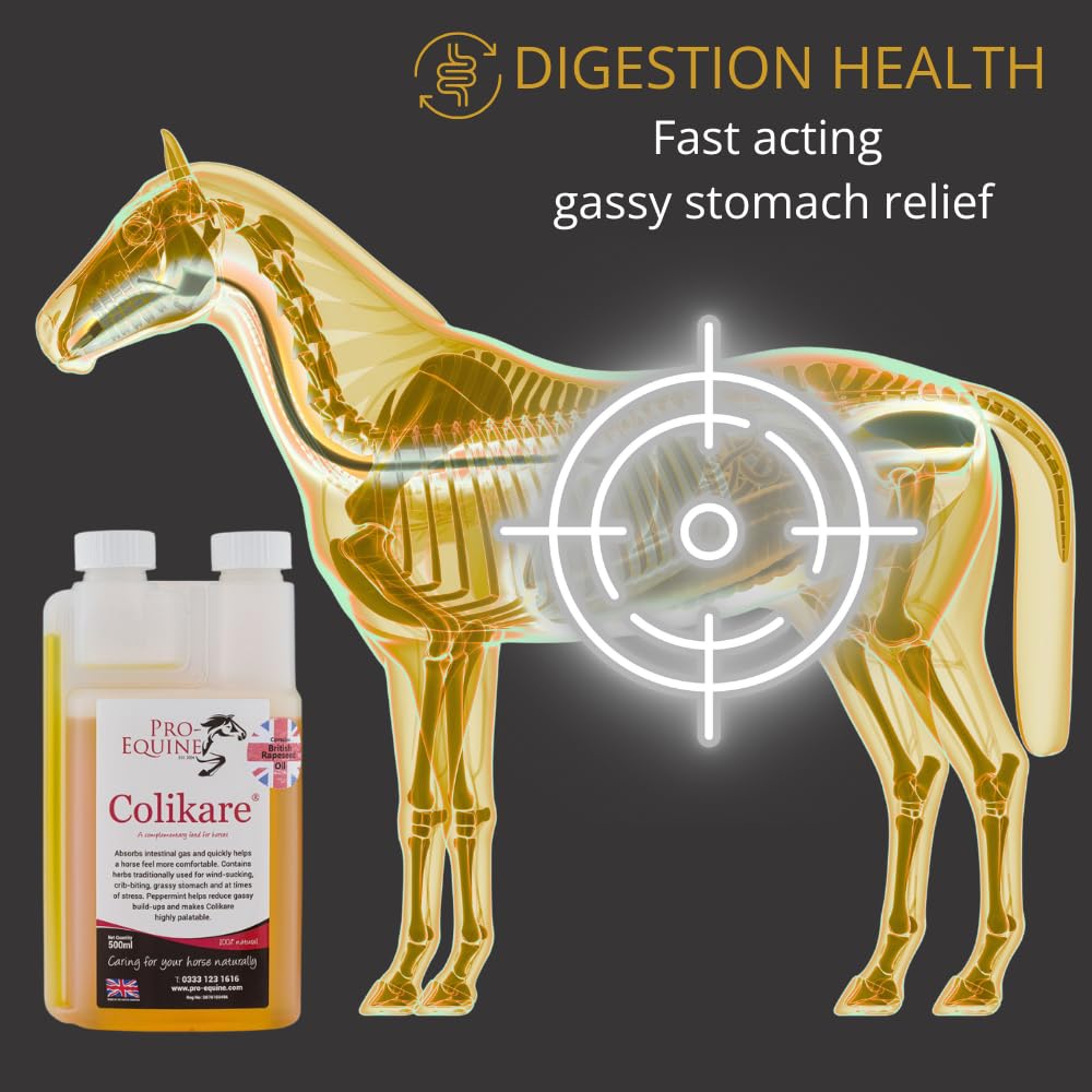 Colikare Supplément pour Coliques de Cheval Soulagement Symptômes Réduction Souffle Crampes Estomac