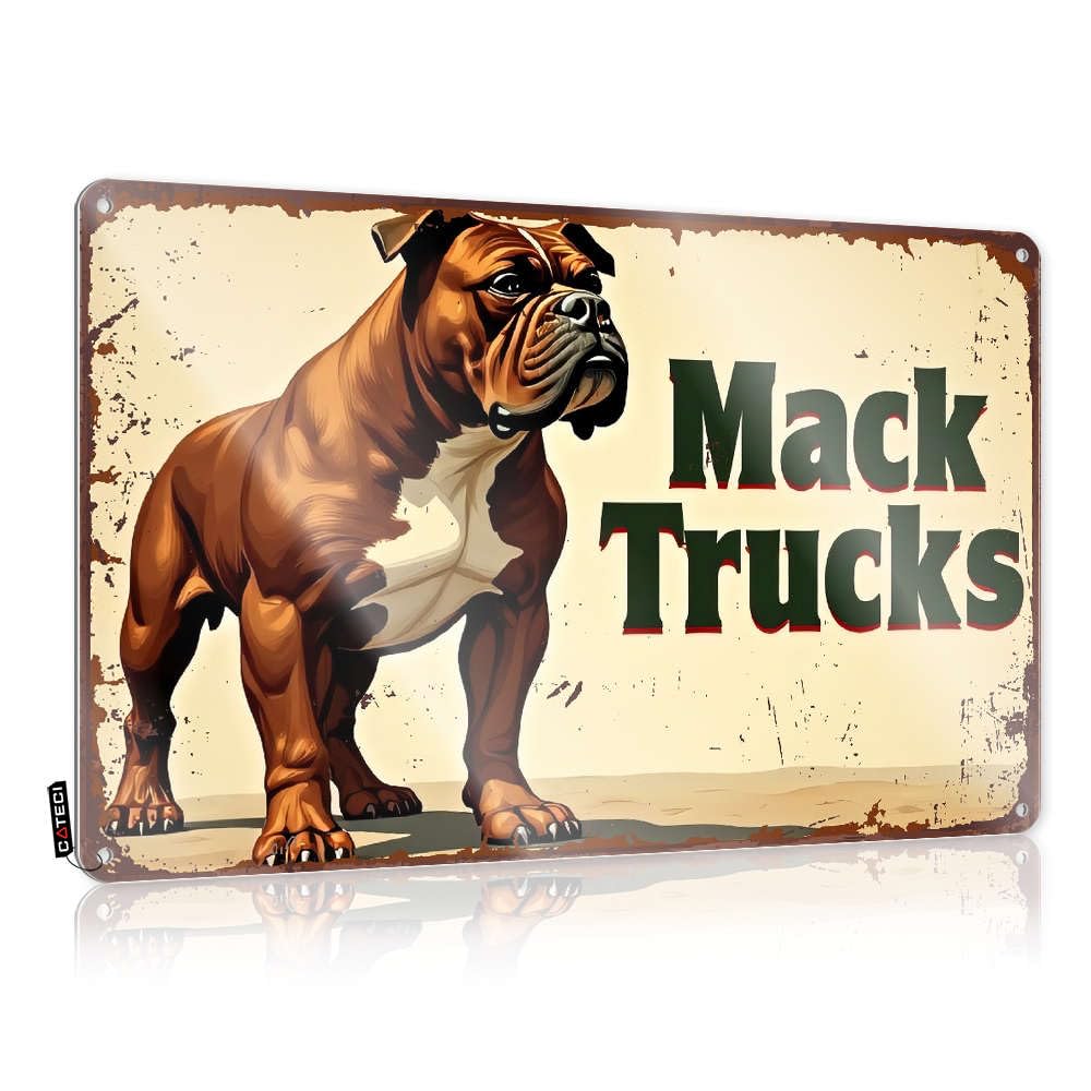 Fzfn Colour Plaques Custom Aesthetic Mack Trucks - The Strongest Name In Trucks For Deck - Music Decor Customizable(30X40cm)