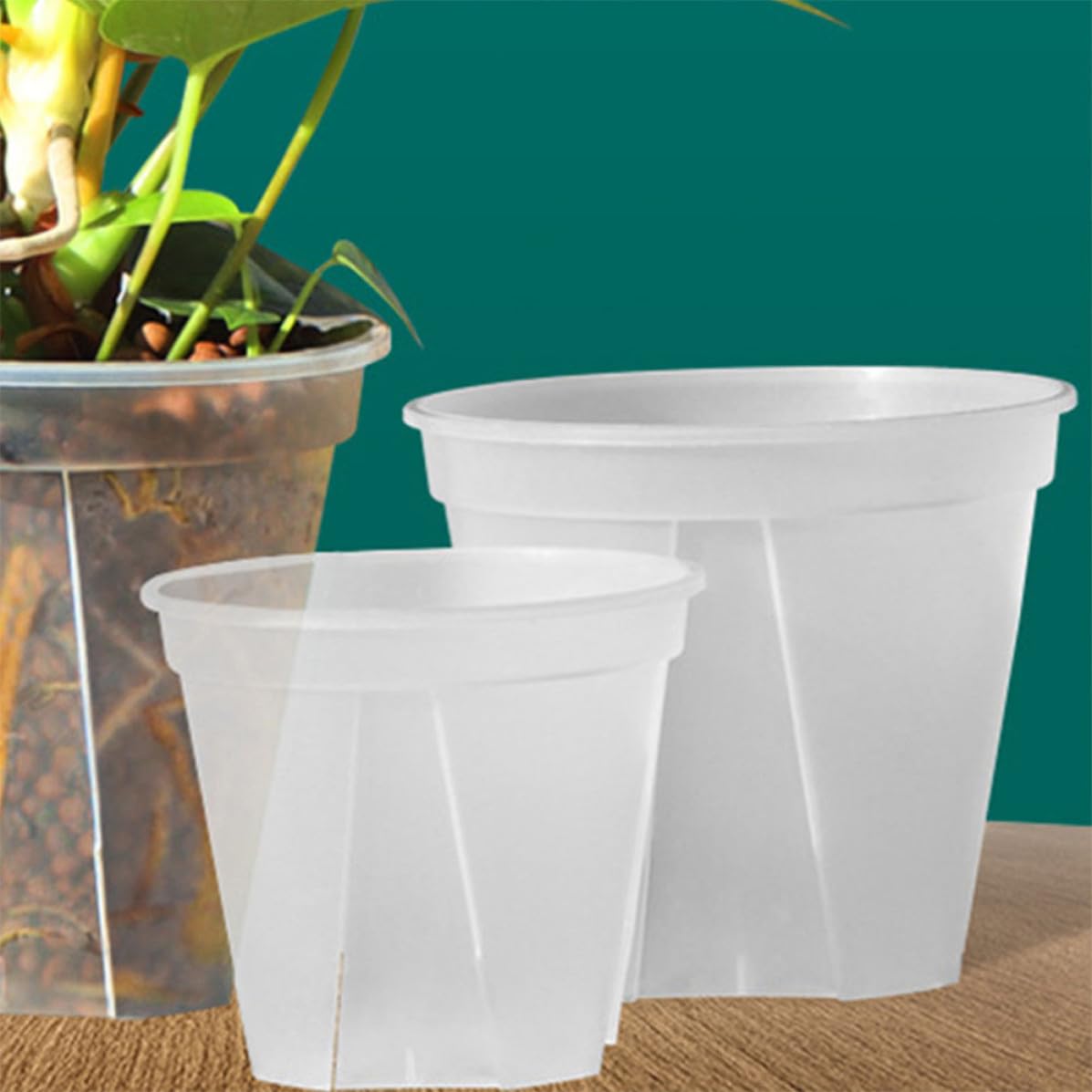 OSALADI 4 Piezas Contenedor de Plantación Maceta de Vivero Redonda de PP Blanco, para Plantas de Paisaje y Suculentas, Uso en Hogar, Fácil de Limpiar y Replantar, Diseño Moderno