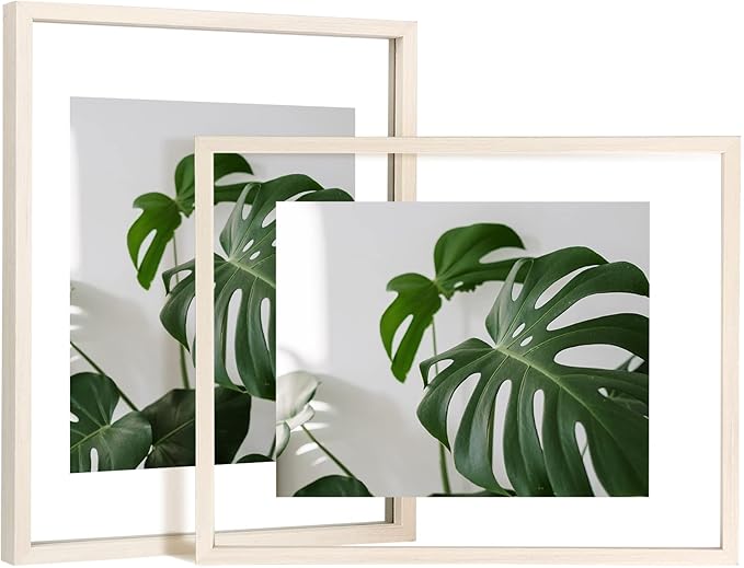 Egofine 11x14 Floating Frames Set of 2, Double Glass