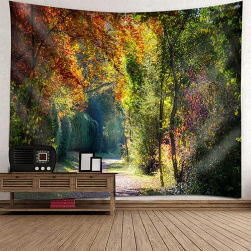 Tapisserie murale chemin à la forêt 260x240cm | Grande tenture décorative