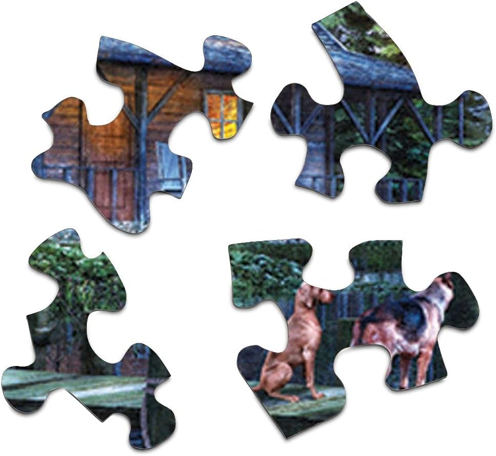 Springbok's 1000 Piece Jigsaw Puzzle Moonlit Night Multi, Large/24 x 30"