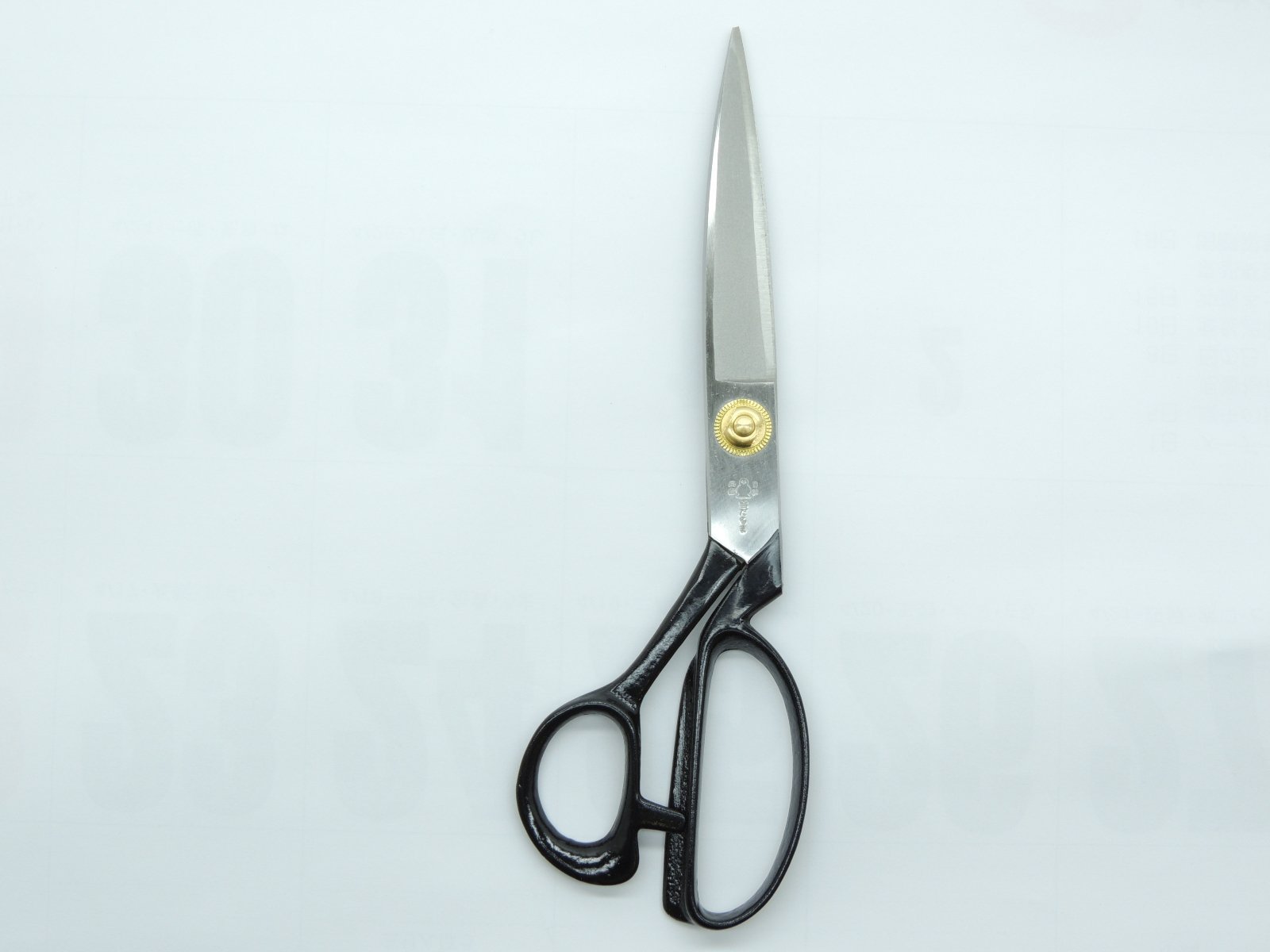 ハサミムシ　笹の雪　美株ダルマ2株セット ハサミムシ様専用 笹の雪 美株ダルマ2株セット