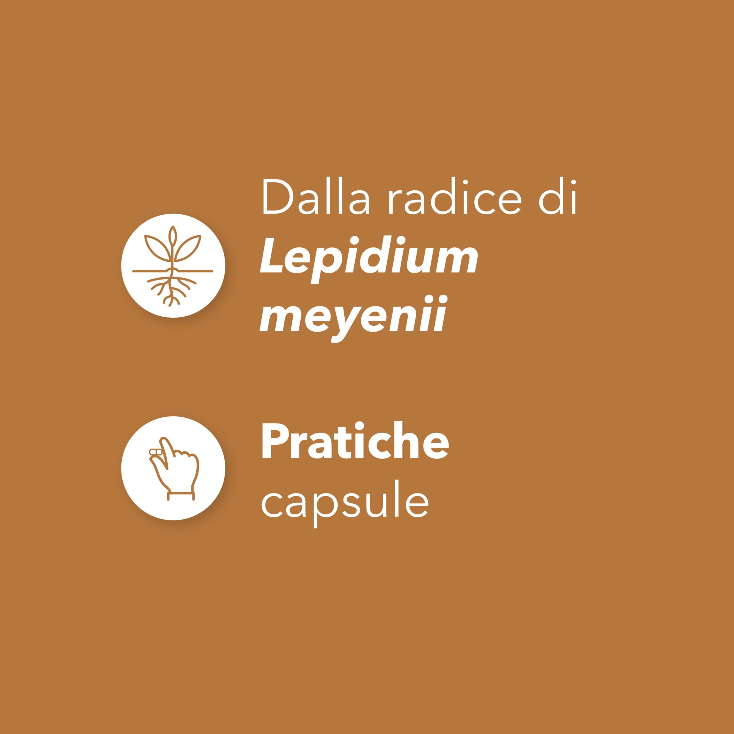 Maca Root 90 capsule - Maca aumento forza energia