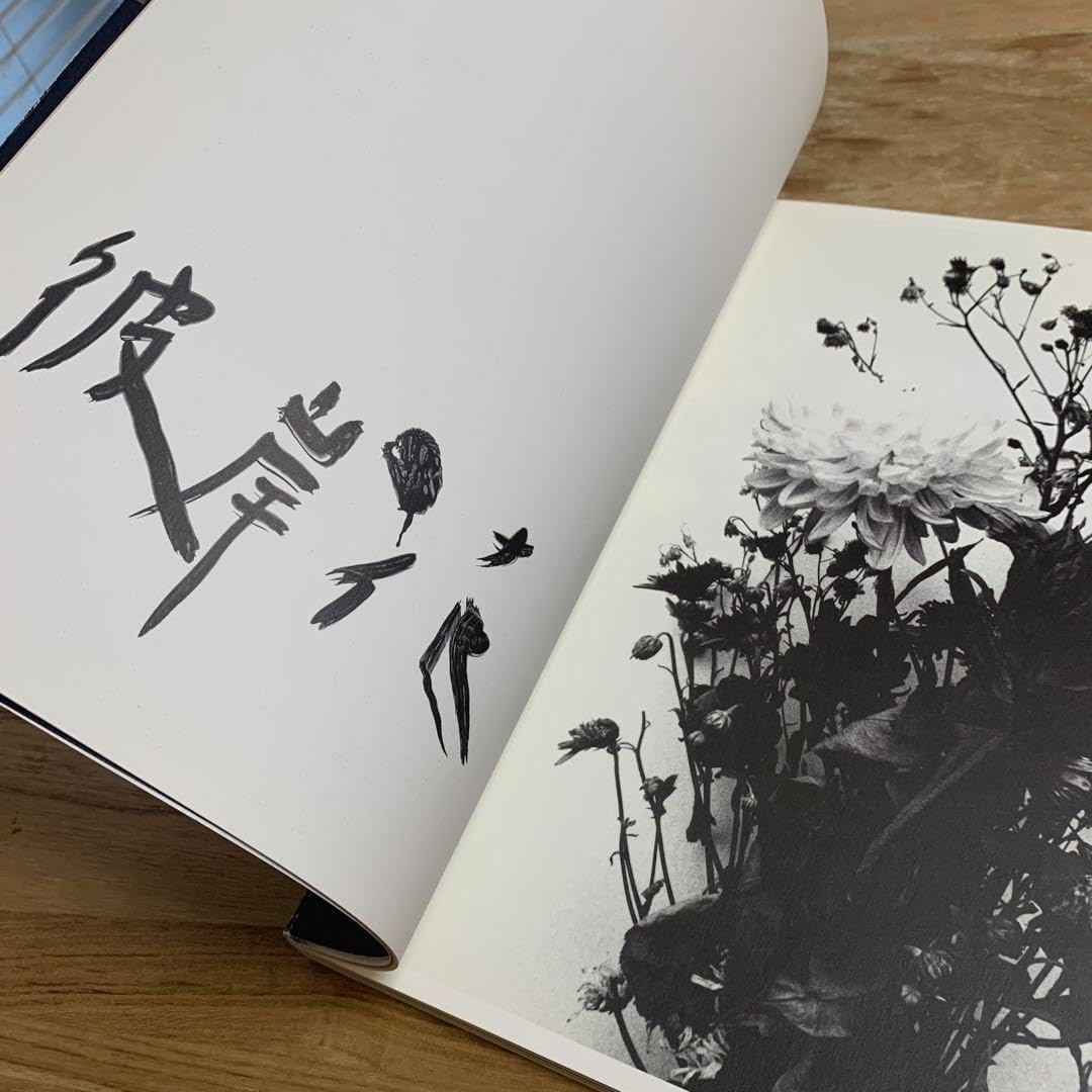 Amazon.co.jp: 荒木経惟 アラーキー 花人生 写真集 : おもちゃ