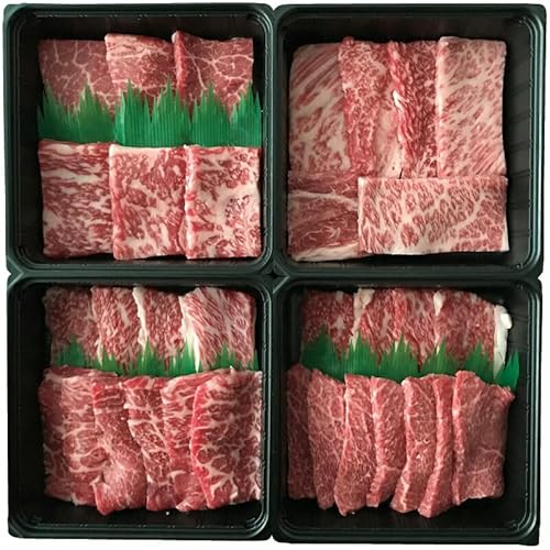 ~̑蕨Ε aēꓪ {Y qE[Xie50gjE[XEEEoie100gj×e1