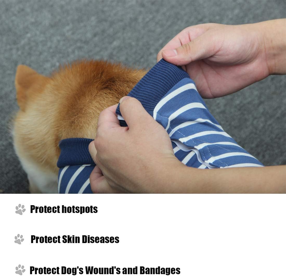 Dog Surgical Recovery Suit Abdominal Wound Protection, After Surgery
