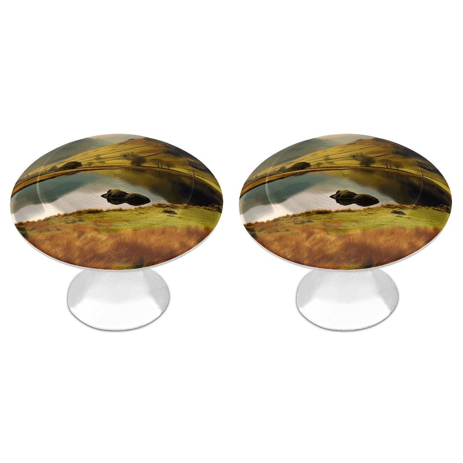 DWVTSLH Lake District National Park Cabinet Handles 2 Pack Stainless Steel Kitchen Drawer Pulls with Installation Screws Round Dresser Drawer Knobs 1.1 Inch Modern Cabinet Hardware Door Handles