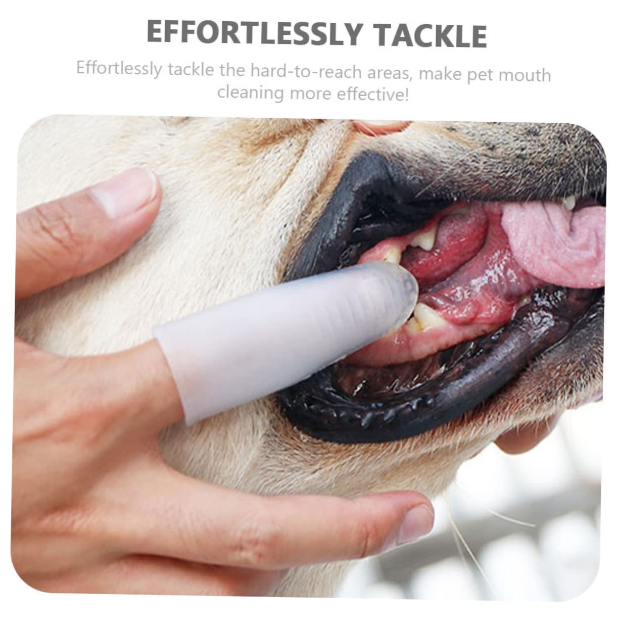 Sosoport 4pcs Pet Oral Health Care Dog Toothbrush Silicone Bristles Gentle Cleaning Tool