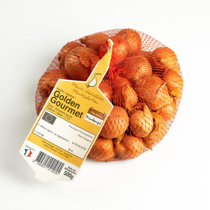 Golden Gourmet 7/15 Echalotes a repiquer 500 GR