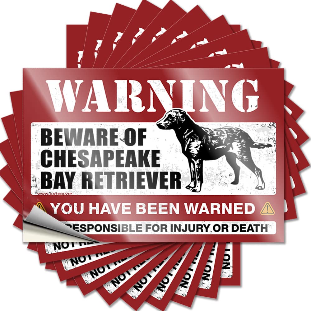 Quote Indie Science Western Helmet Beware of Chesapeake Bay Retriever - Scratch Resistant Stickers(8X12CM)