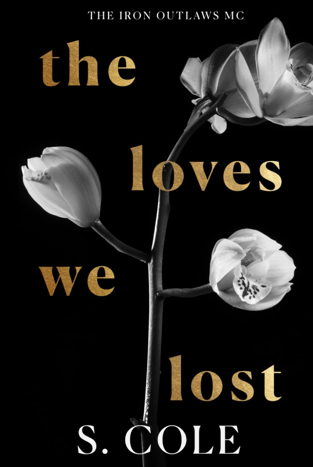 The Loves We Lost: Iron Outlaws MC Book 6