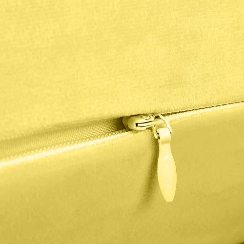 Miniatura 3 de JUEYINGBAILI Fundas de almohada decorativas de terciopelo, paquete de 2 fundas de almohada ultrasuaves de 18 x 18 pulgadas para sofá, silla,