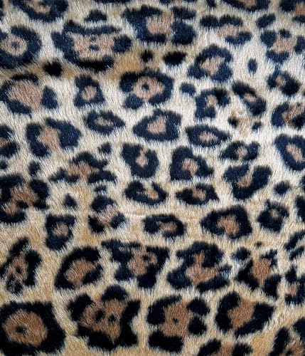 Faux Fur Animal Long Pile 58" Wide Fabric Full, Plush, Warm Soft Coat, Fashion Fursuit Costume - Sold by Continuous Yard (Leopard Fur)