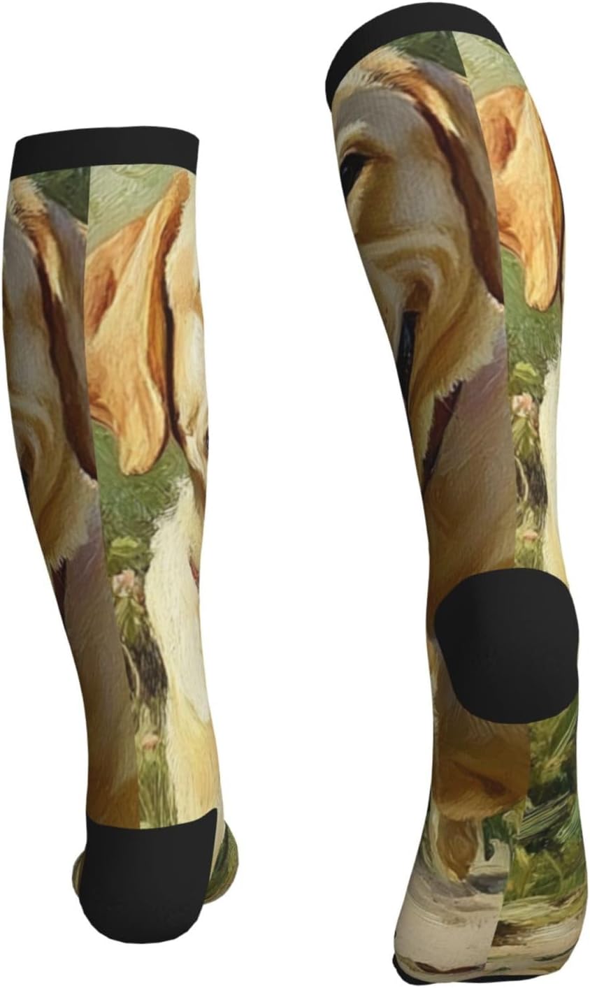 Golden Hair Walking Compression Socks 15-20mmHg Graduated Compression, Ideal for Office Workers, and Athletes