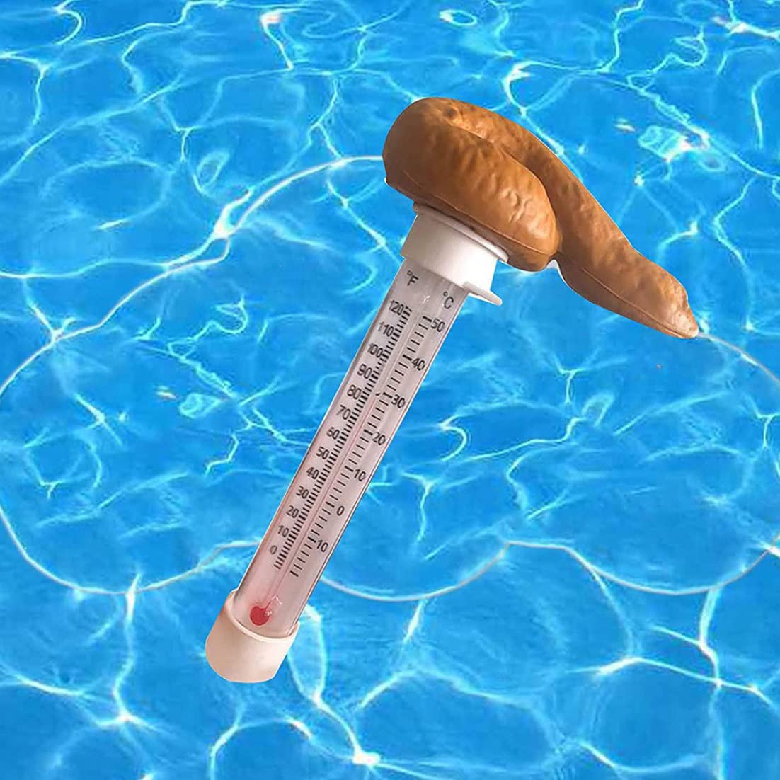 Pool Thermometer, Floating Swimming Pool Thermometer, Pool