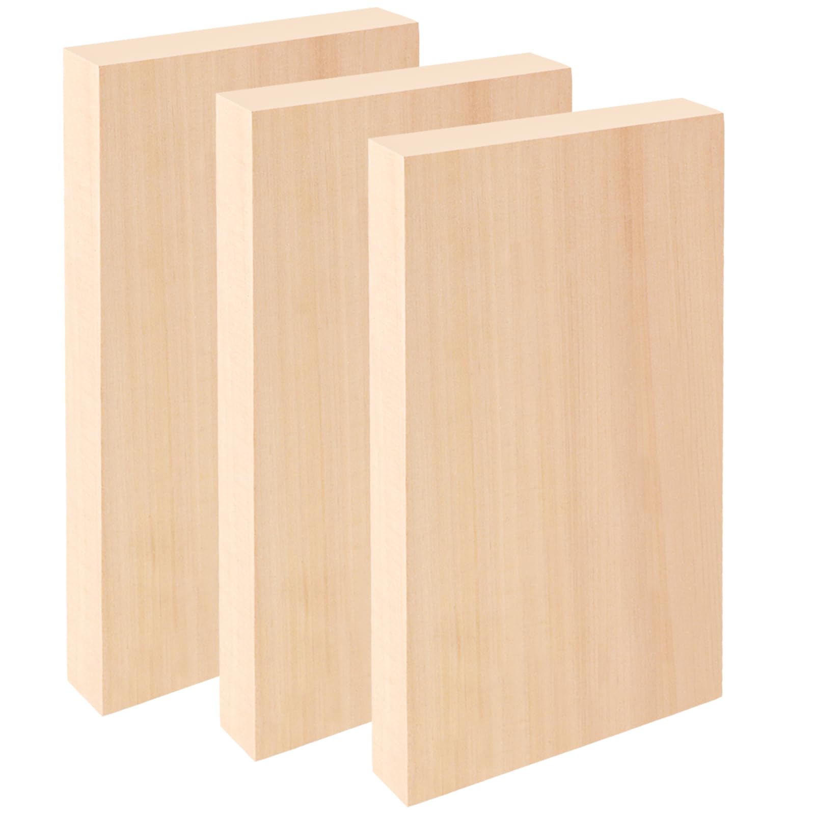 20pcs Bois De Tilleul Sculpté Feuilles De Planches De Bois Non Finis Débutants Blocs De Sculpture Bricolage Artisanat Fournitures D'art