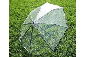 Small Clear Bubble Umbrella: Windproof and Rainproof Dome with a Transparent View