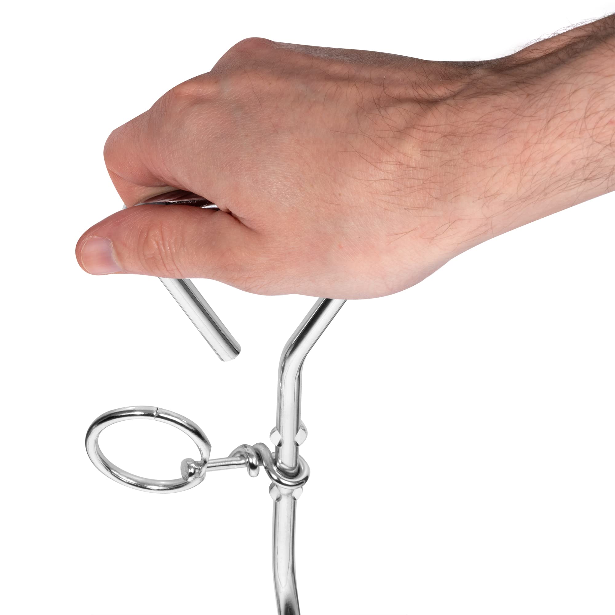 Bunty Palo per Cani da 40,6 cm, Ancoraggio a Vite a Spirale, Accessorio Ideale per Campeggio, guinzaglio e Accessori per Cani, Girevole a 360 Gradi, Struttura in Lega di Acciaio, Tutte Le Razze
