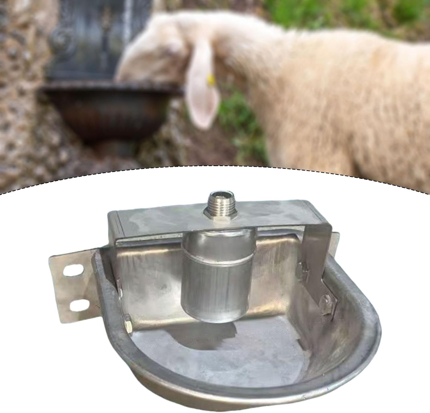 Automatic Livestock Water Bowl Drinking Bowl Easy to Use Stainless Steel Easy to