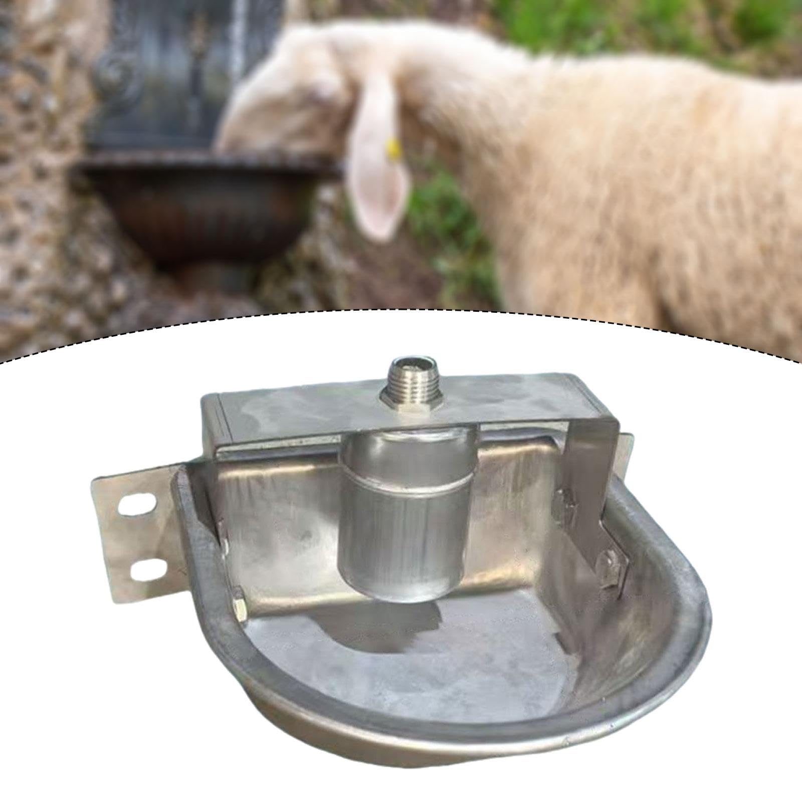 Qianly Abbeveratoio Automatico Multiuso per Bovini, Capre E Animali da Fattoria