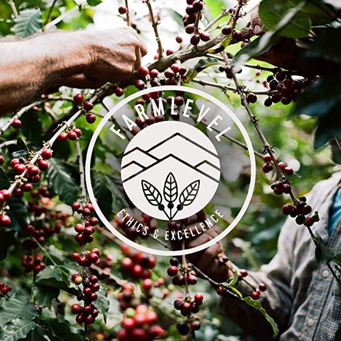 Verve Whole Bean Coffee | Sermon & Seabright Medium Roast Bundle | 12oz Bags miniatura 7