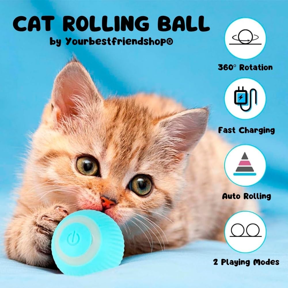 Interactive Cat Ball, Blue - Image 2