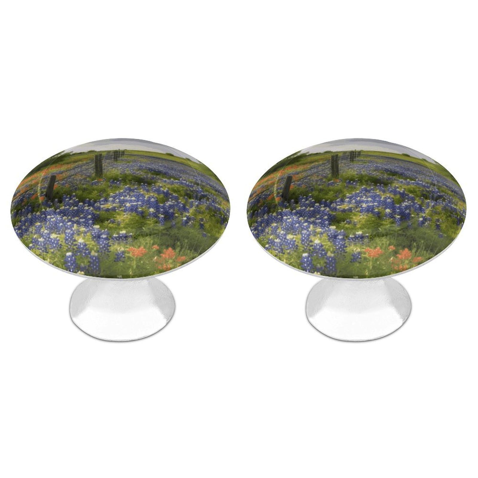 Fodpand White 2 Pack Cabinet Knobs 1.1 Inch Single Hole Drawer Pulls Handles Decorative Texas Bluebonnets Scenery Furniture Knobs For Dresser Kitchen Bathroom Cupboard Wardrobe Vanity Closet Door Hardware