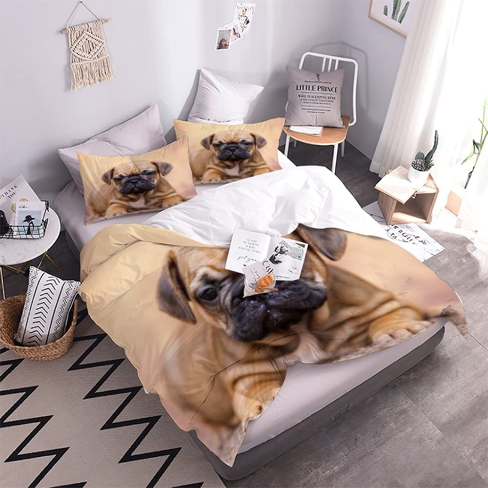 Dubbele dekbedovertrekset kleurrijke Franse bulldog, microvezel omkeerbare dubbele beddengoedset voor volwassenen kinderen - 1 dekbedovertrek met