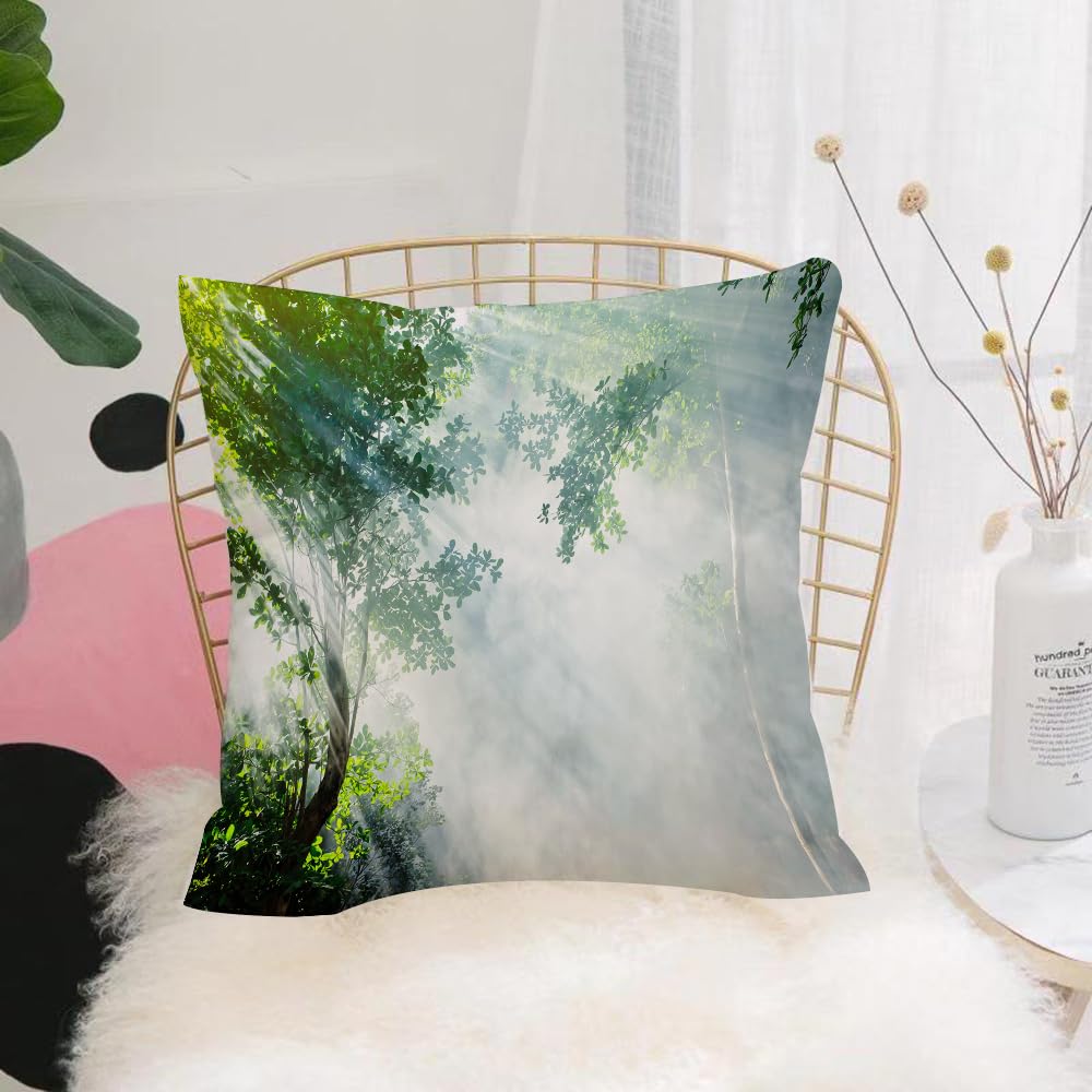 HYOSXW Cushion Cover,Throw Pillow Case Home Decorative for Living Room Bedroom Sofa Chair 16X16 Inch,Rainforest Sunbeam Among Tree Shadows Idyllic Solitude in the Jungle,Pillowcase 40X40cm