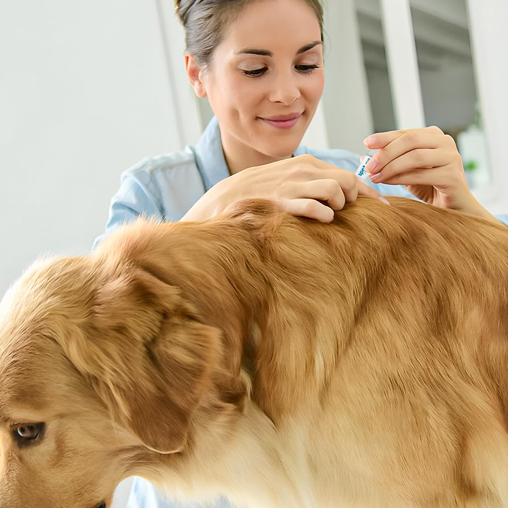 Fluralaner Tablets And Drops | Shaanxi Bloom Tech