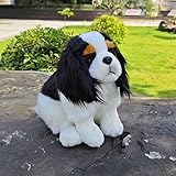 Zoom IMG-1 mzicxv peluche cavalier king charles