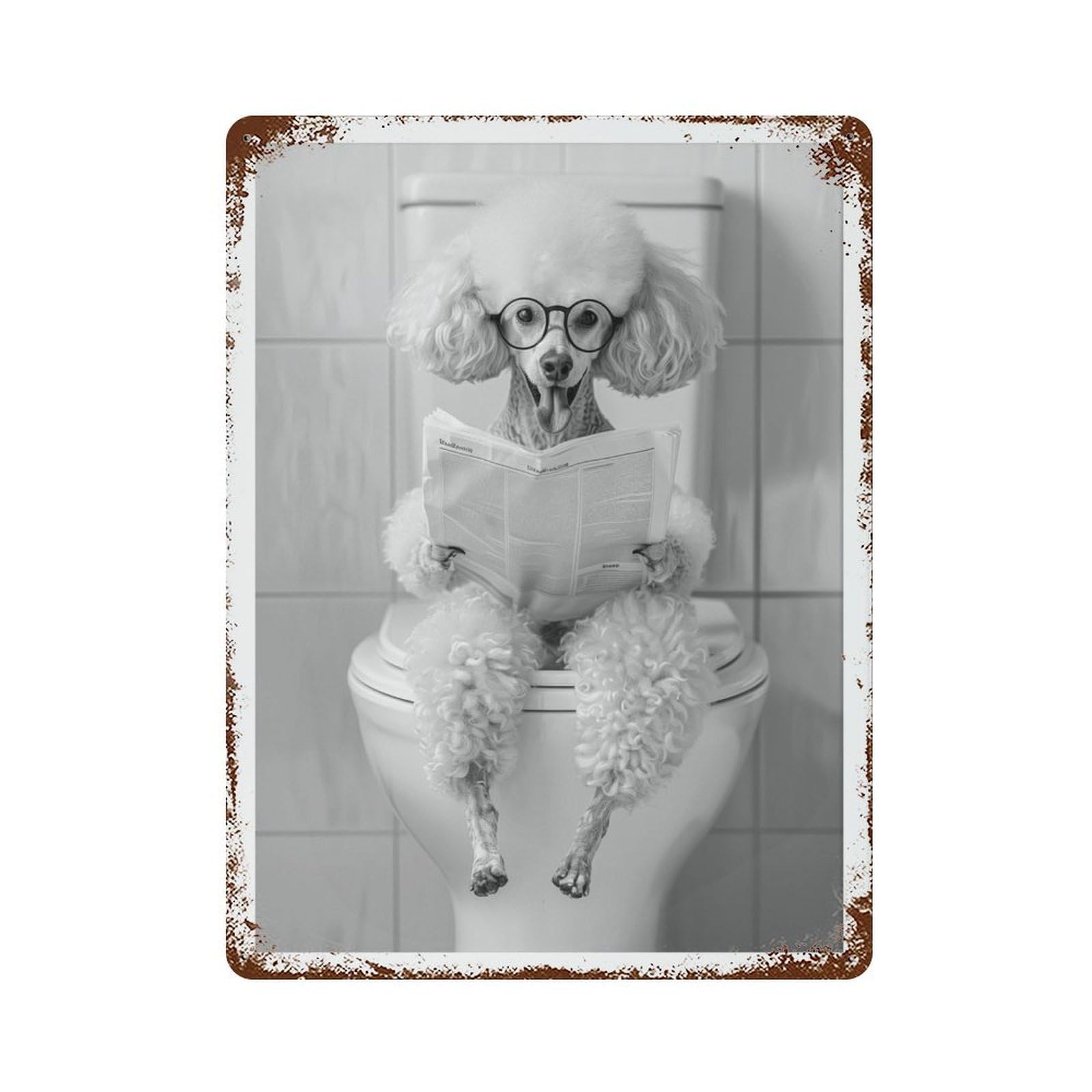 xiaoxiaoshen Funny Poodle Newspaper Bathroom Pet Wall Decor Art Metal Tin Poster Modern Home Decor Art Home Bar Shop Decorations Vintage Sign 40x30cm