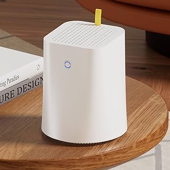 Aoostar R1 N100 T-bao ミニPC NAS 2ベイ メモリ付 AOOSTAR R1 mini PC is also a DIY NAS with an Intel N100 processor