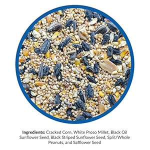 Lyricwildbirdmixwildbirdfoodforoutsidefeedersattractsdovesjaysandmanymore40lbbag Urban Country Home Decor Lyric wild bird mix wild bird food for outside feeders attracts doves jays and many more 40 lb bag urban country home decor