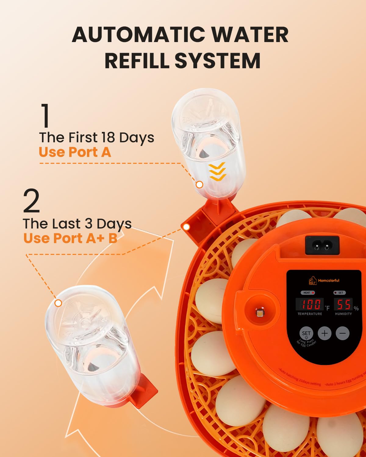 12 Egg Incubator and Chick Brooder Plate Kit